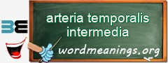WordMeaning blackboard for arteria temporalis intermedia